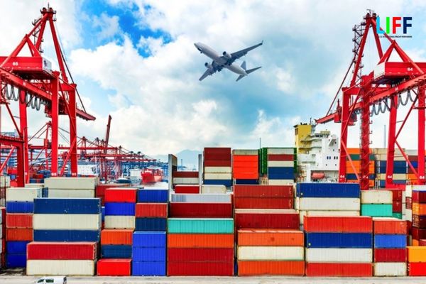 Hướng dẫn áp dụng đối với mã loại hình tạm nhập tái xuất 