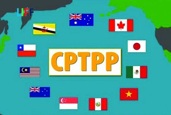 Tổng hợp các mẫu CO CPTPP - Giấy chứng nhận xuất xứ hàng hóa được sử dụng phổ biến