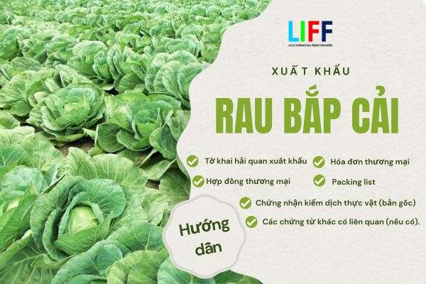 Chính sách & mã HS xuất khẩu rau bắp cải