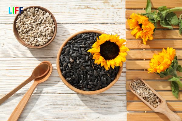 Dịch vụ khai báo hải quan nhập khẩu Hạt Hướng Dương