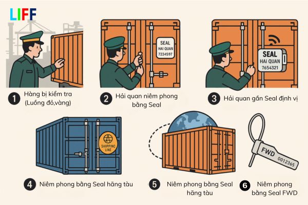 Quy trình sử dụng Seal Hải quan, Seal Hãng tàu và Seal FWD