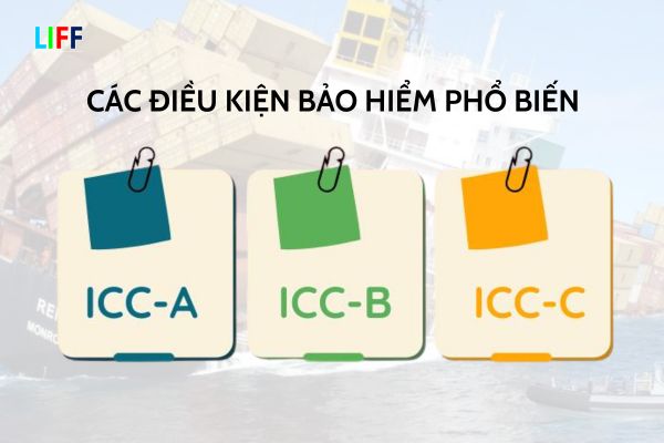Các điều kiện bảo hiểm phổ biến 
