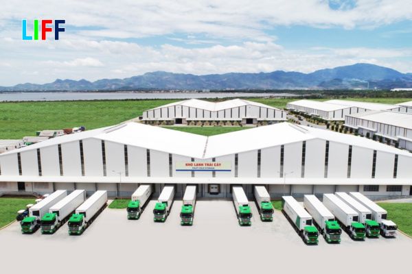 Lacco Logistics - Đơn vị cung cấp dịch vụ hỗ trợ xuất khẩu nông sản khô trọn gói