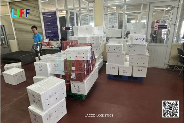 Quy trình vận chuyển hàng hóa đi Nga tại LACCO Logistics