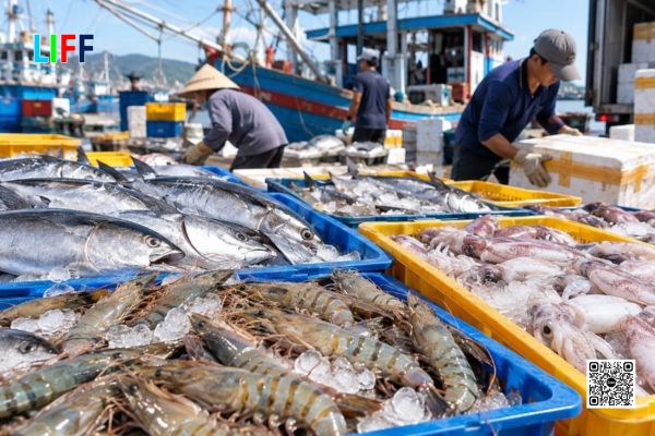 Doanh nghiệp thực hiện thủ tục kiểm tra an toàn thực phẩm trên hệ thống điện tử