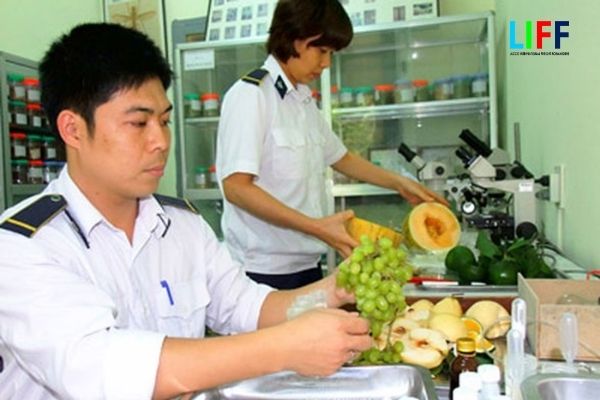 Quy định về kiểm dịch thực vật nhập khẩu vào Việt Nam