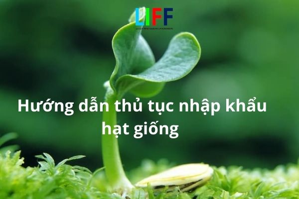 Hướng dẫn thủ tục nhập khẩu hạt giống (Chi tiết)