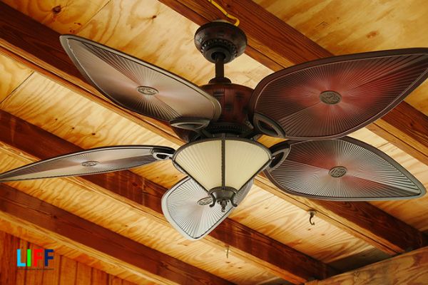 Mã HS code và thủ tục nhập khẩu quạt trần dân dụng 2022