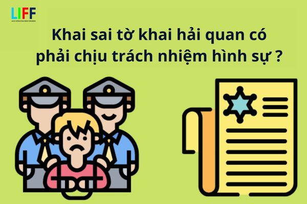 Khai sai tờ khai hải quan có phải chịu trách nhiệm hình sự?