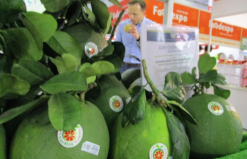 Trái bưởi tươi: Trái cây thứ 7 được xuất khẩu chính ngạch sang Mỹ