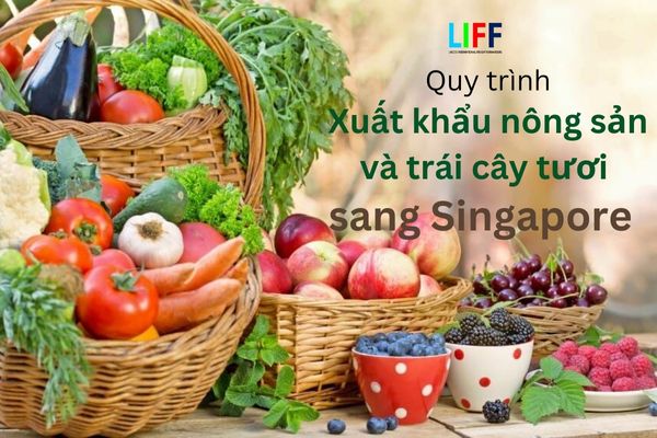 Các bước xuất khẩu nông sản và trái cây tươi vào thị trường Singapore