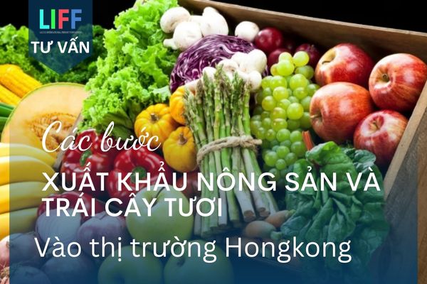 Các bước xuất khẩu nông sản và trái cây tươi vào thị trường Hong Kong