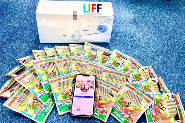 Quy trình thủ tục nhập khẩu thức ăn thủy sản (Thức ăn hỗn hợp cho động vật cảnh)