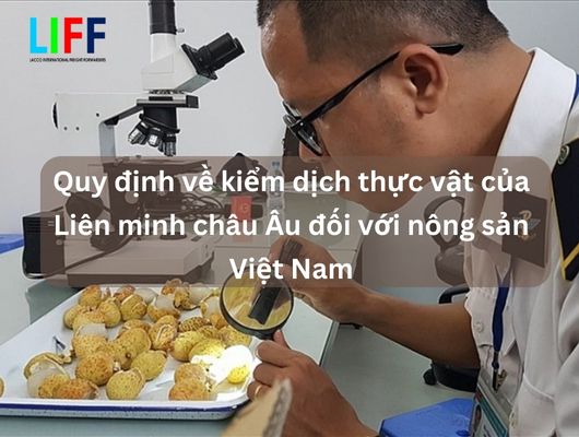 Quy định về kiểm dịch thực vật của Liên minh châu Âu đối với nông sản Việt Nam
