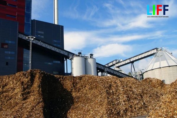 Các tổ chức hành nghề xử lý nhiệt đối với sản phẩm từ trấu xuất khẩu sang Hàn Quốc 