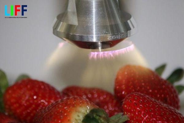 Danh sách các tổ chức hành nghề xử lý chiếu xạ trái cây xuất khẩu