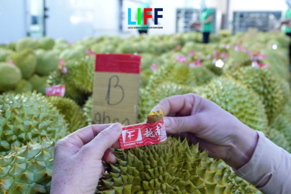 6 yêu cầu khi thiết lập vùng trồng? Thủ tục cấp mã vùng trồng