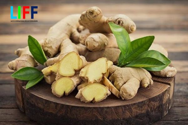 Thủ tục và quy trình xuất khẩu củ gừng tươi