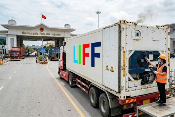Xuất khẩu hàng lạnh đi Trung Quốc chính ngạch| Thủ tục, vận chuyển & giải pháp
